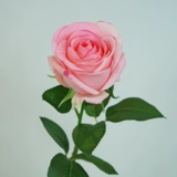 Искусственный цветок пять -летний магазин 12 цветов высокий качественный одиночный ощущение увлажняемого розового букета