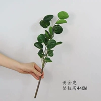 Золотой карман