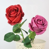 Искусственный цветок пять -летний магазин 12 цветов высокий качественный одиночный ощущение увлажняемого розового букета