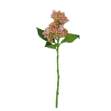 Маленькая свежая и простая симуляция Цветок Dingxiang Hydrangea Flort Fruit рука держит маленький цветочный пакет кофейный столик