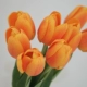Lafite Tulip-Orange Branches