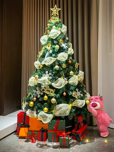 2024 Рождественская елка для дома посылка 1,5/1,8/2,1/3 зашифрованная Интернет-знаменитость элитное украшение рождественской сцены