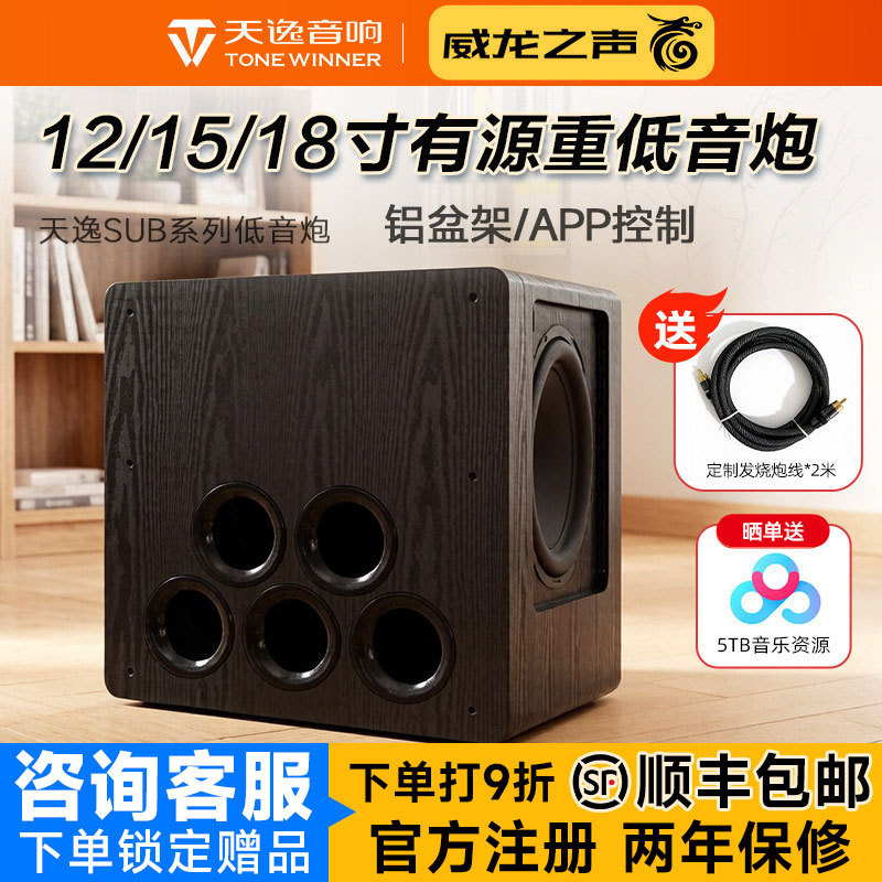 Winner Sub-2000/4000/6000/8000 High-Power Professional Active Subwoofer with Amplifier