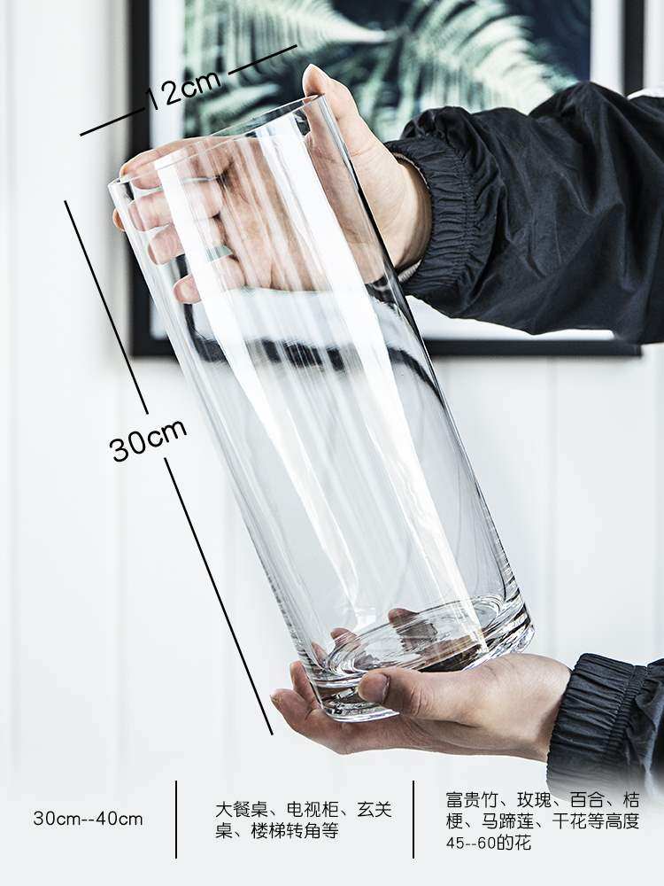 vase glass transparent pieces living room dry flower vases