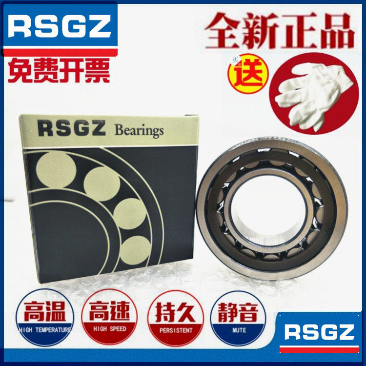 RSGZ cylindrical roller bearing NU304 NJ305 308 309 310 311 312 313ECP M