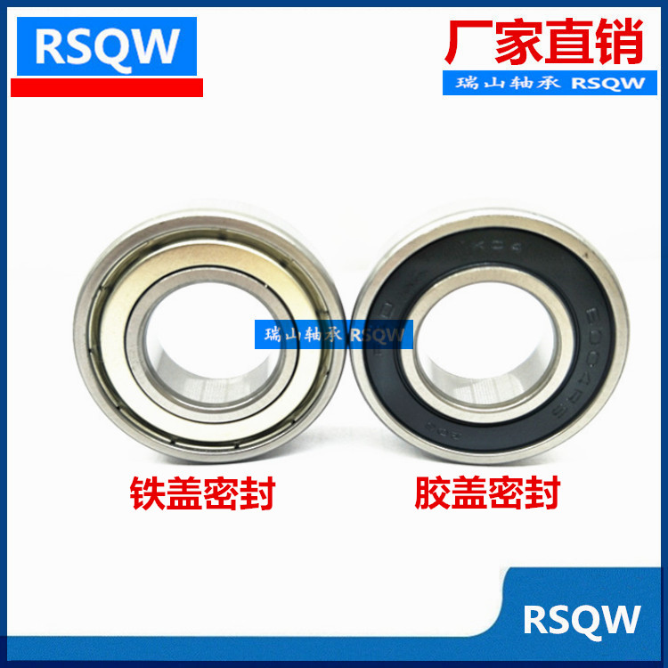 RSGZ Stainless Steel Bearing S6213 S6214 S6215 S6216 S6217 S6218 S6220Z