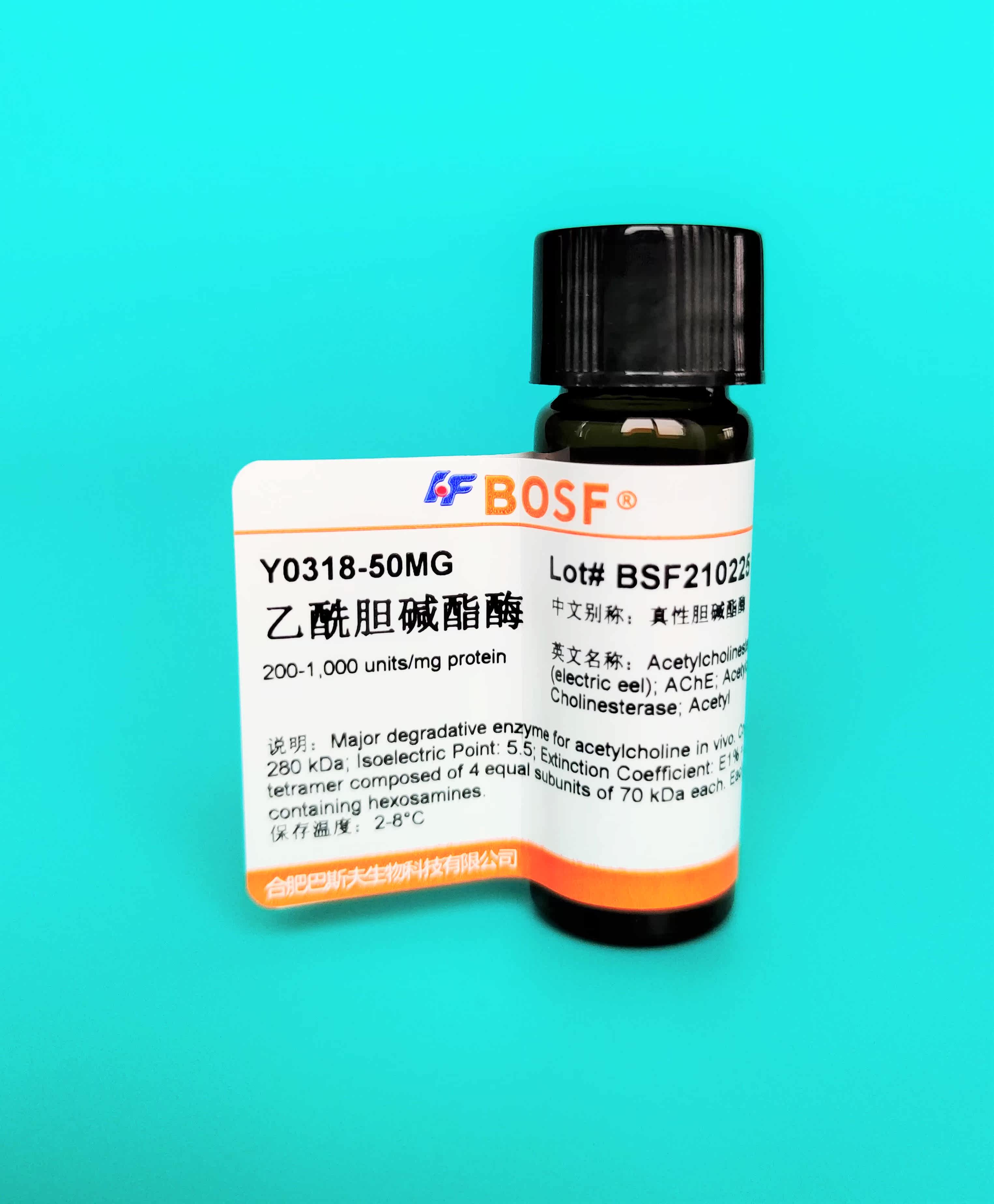 Scientific research reagents Acetylcholinesterase ACHE CAS: 9000-81-1 50mg 100mg