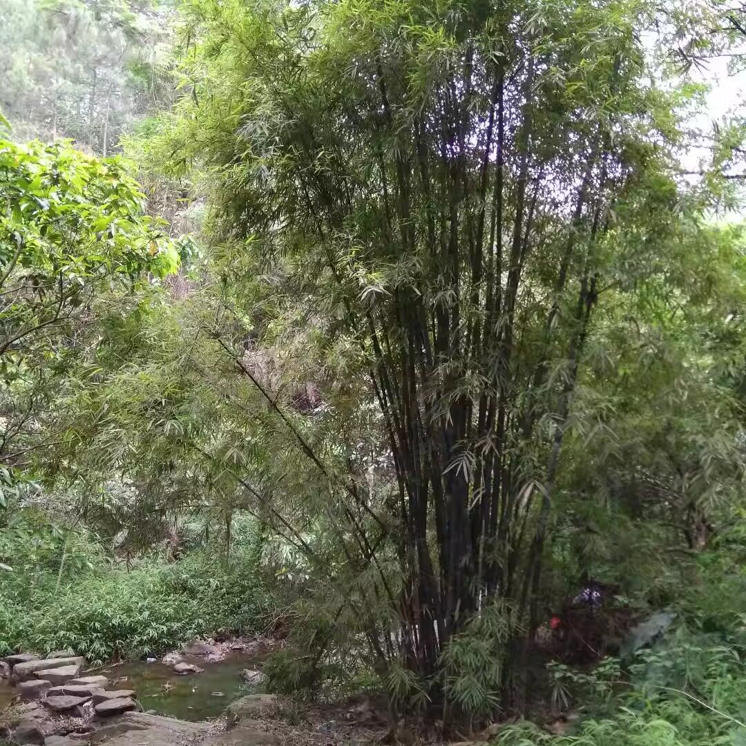 双石之名机电设备