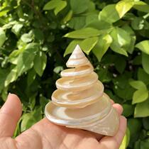 Natural shell conch hermit crab climbing tower snail fish tank aquarium aquarium landscaping home ornaments shooting props