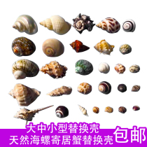 Natural shell conch hermit crab replacement shell spare special shell roll Fish Fish Fish Tank Aquarium Ornaments large ornaments
