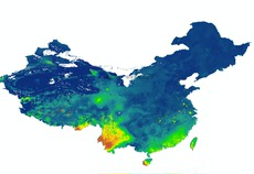 Другие услуги по дизайну 全国实际蒸散发数据2001年-2018年逐旬数据持续更新