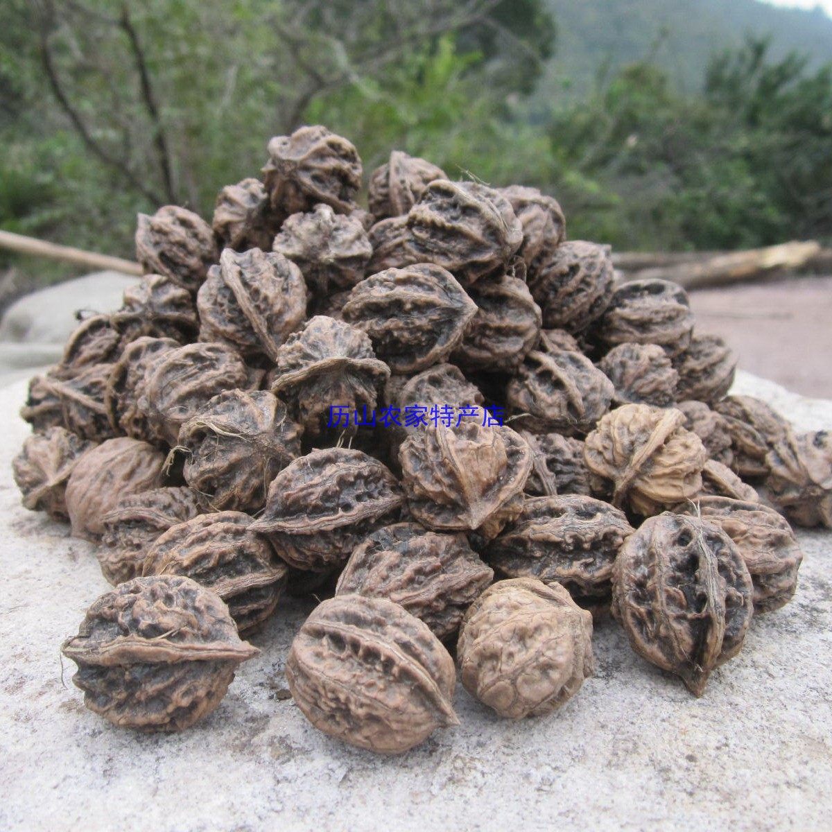 Play walnuts Wild autumn play walnuts preliminary cleaning of currency without picking 500g