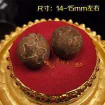 The rare color of the King of Mingwang the sturdy son a single bond for the Pagoda 14-15mm