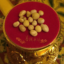 The victory of Sakyamuni derived xin pith is a strong bond for the Pagoda