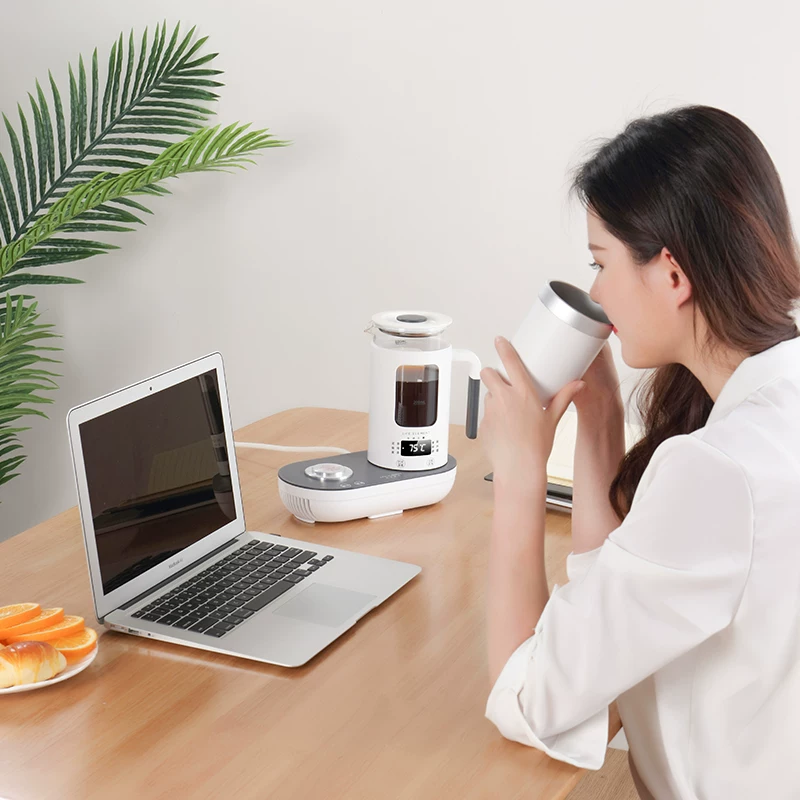 Xiaomi Youpin Life Element Multifunctional Cup Multi -grade temperature -boiled water boiled tea Small glass health pot