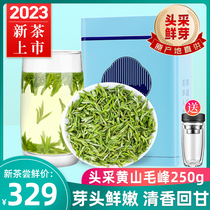 2023 New Tea Huangshan Maufeng Spring Tea Ming Pre - Class Green Tea Tea Tea Tea Tea Tea Tea Tea Tea Tea Tea Tea Tea Tea Tea Tea Tea Tea Tea Tea Tea Tea Tea Tea Tea Tea Tea Tea Tea Tea Tea Tea Tea Tea Tea Tea Tea Tea Tea Tea Tea Tea Tea Tea Tea Tea Tea Tea Tea Tea Tea Tea Tea Tea