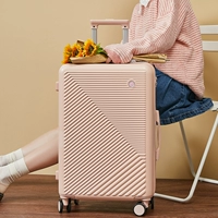 Сингвуд пудру сингл