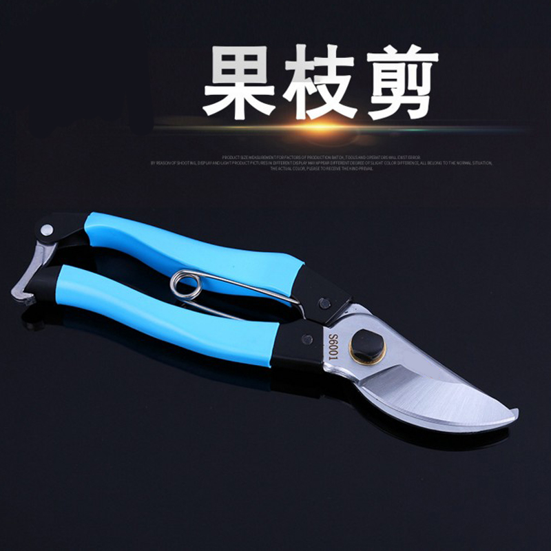 Jane Reed trim branches Scissors Garden Tools Flowers Cut Gardening Scissors Prunes Prunes prunes Branches Fruit Tree Scissors