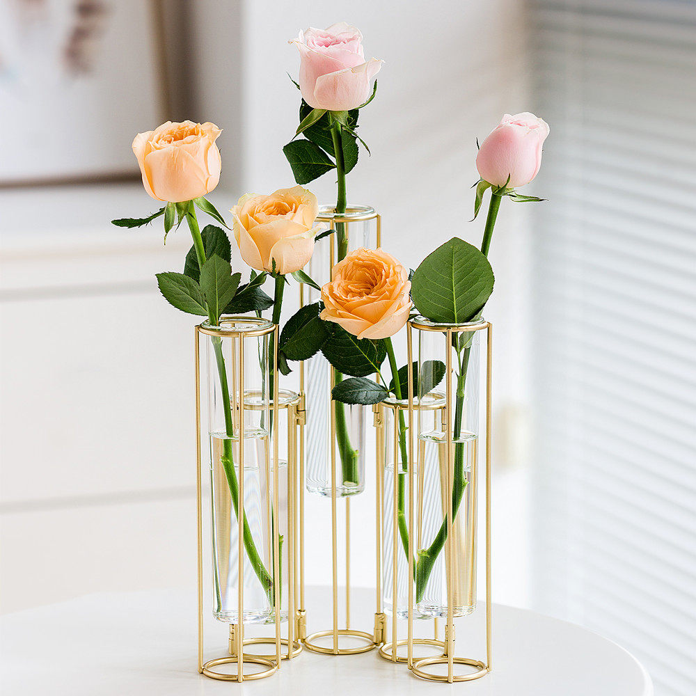 北欧透明玻璃花瓶客厅插花轻奢家居装饰创意摆件鲜花玫瑰水养花器