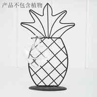 Ананасовая вода