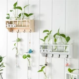 Творческая гидропонная стеклянная ваза подвеска