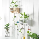 Творческая гидропонная стеклянная ваза подвеска