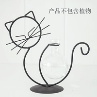 Кошка гидропонная б