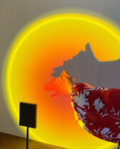 DPstudio Net Red Days Without Rainbow Landing Lights Projection Decorative Lights Photography Props Falling Lights