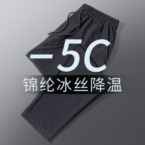 Woven pants mens summer thin sports trousers loose casual closing ankle-length pants quick drying Ice Silk small foot pants