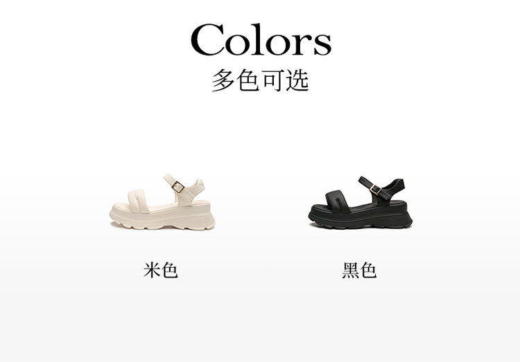 O1CN010AcBuY1CE1xgWhZAM_!!354550048.jpg