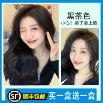 Black Tea Color Hair Dye Bubble foam 2021 Pop color Gay white pure plant yourself Dyed Hair with white hair cream