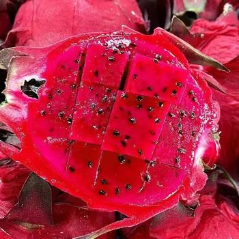 Red heart pitaya red heart pitaya