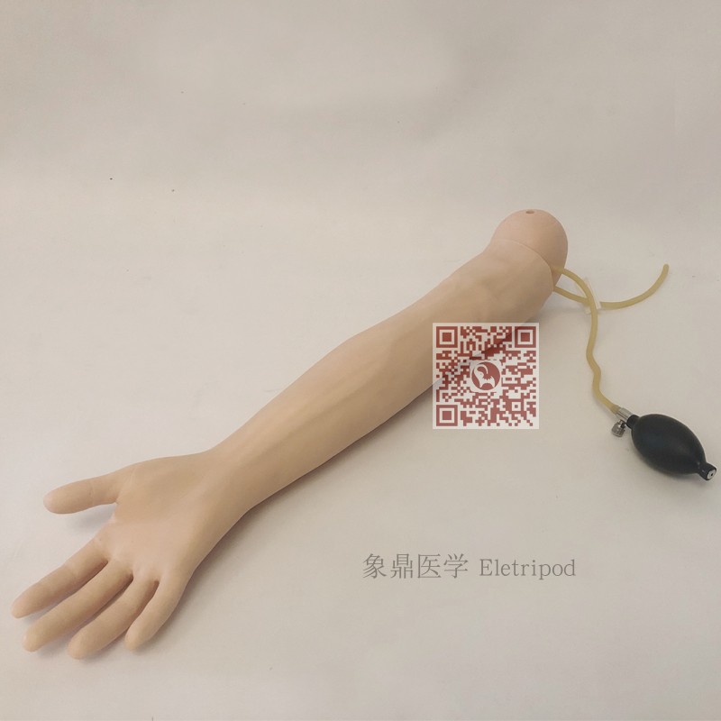 Eletripod 象鼎医学 高级动脉穿刺手臂模型 ET/HS4E