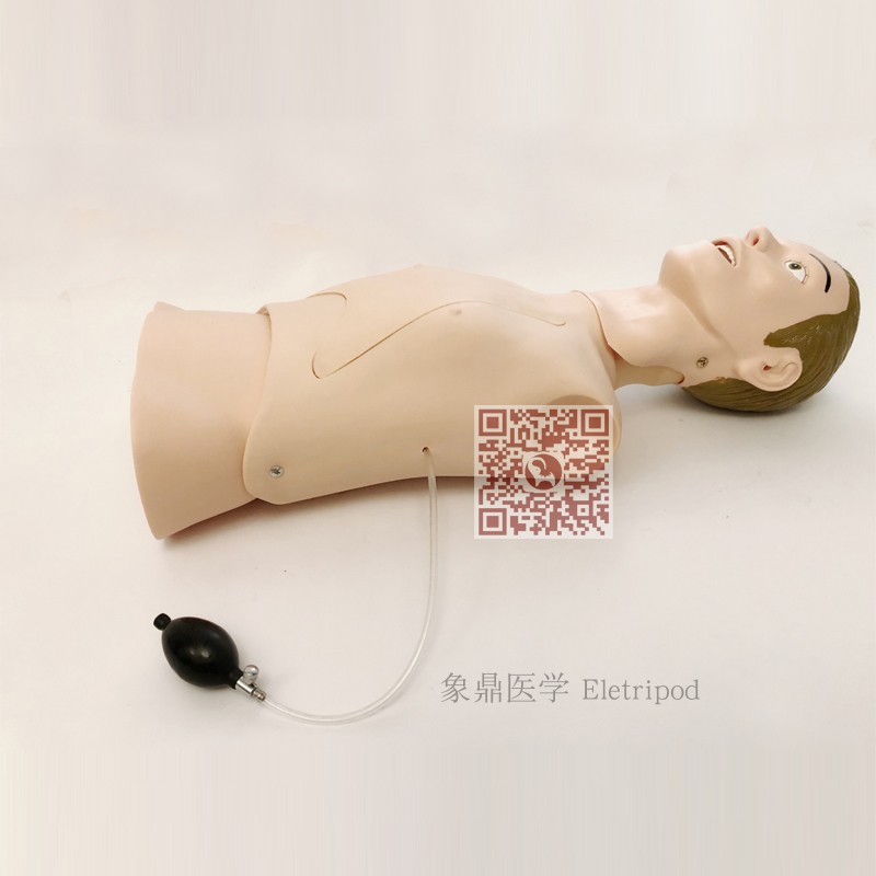 Eletripod 象鼎医学 高级鼻饲管与气管护理模型 鼻胃管 ET/H70-1