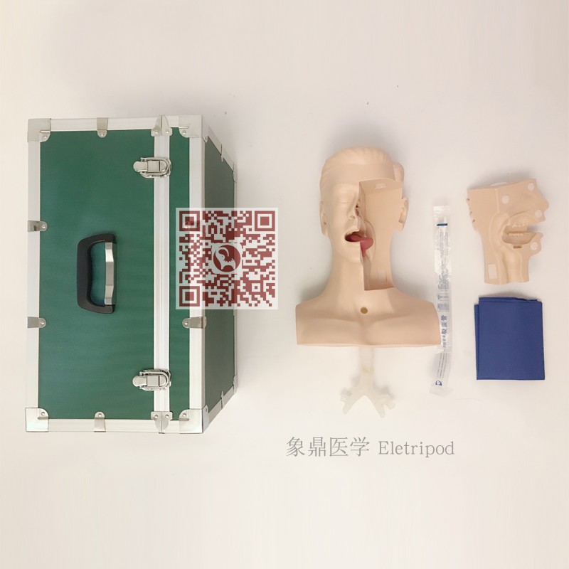 Eletripod 象鼎医学 高级吸痰练习模型 ET/H85