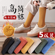 Thickened Long Barrel Socks Womens Autumn Winter Ins Tide High Cylinder Pure Color Winter Plus Suede Warm Stockings Pure Cotton Midcylinder Socks Winter