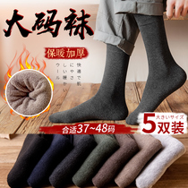 Socks Male Long Sox Autumn Winter Pure Cotton thickened Garsuede Large size Silo Men full cotton Deodorant Long Silo Socks Male