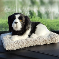 Большие глаза черные и белые бияни