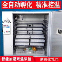Incubator small and medium-sized household automatic intelligent incubator mini egg incubator chicken duck goose bird egg pigeon quail