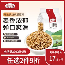 Yanzhifang Oat wheat kernels oatmeal coarse grains germ rice volume selling nutritious breakfast porridge farmhouse grain