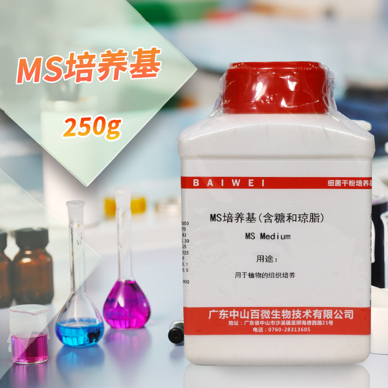 MS培养基250g克1/2MS1/4MS不含琼脂和蔗糖蔗糖琼脂杭州百思