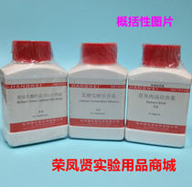 Gentamicin Solution (500U mL) 5mL × 10 bottles Z0007 Hang micro Hangzhou Microbiology