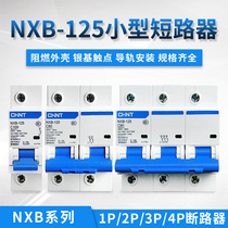 Chint Kunlun NXB-125 Miniature Circuit Breaker 1P2P3P4P C63C80C100C125A Air Switch