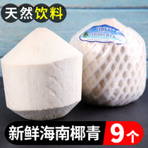 Hainan Coconut 9 Loaded Fresh Coconut Peeled Old Coconut Pregnant Women Should Season Fruit Perfume Coconut Coconut