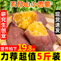 Tianmu Mountain small fragrant potato fresh 5kg sweet potato farmhouse self-planted chestnut small sweet potato whole box sweet potato honey potato 3