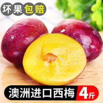 Australia imports west May fresh 4 catties and sweet Chilean Simee Blackblin Big Lee son of the season Fruit Shunfeng