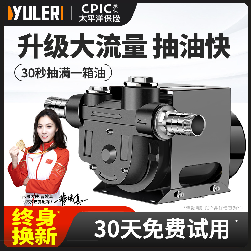 Yule Electric Oil Pump 12V24V220V Self-Priming Pump Forward and Reverse Dc Refueling Pump Diesel Oil Transfer Machine