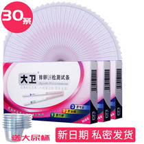 David ovulation test strip 30 30 urine cups good pregnancy preparation package test egg phase to find LH peak pregnancy combination