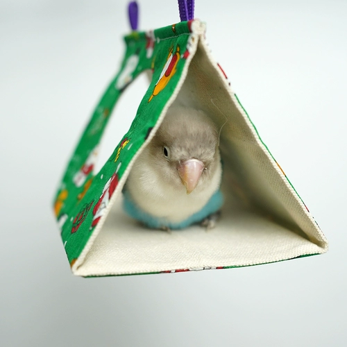 Птичье гнездо птичьего гнездо