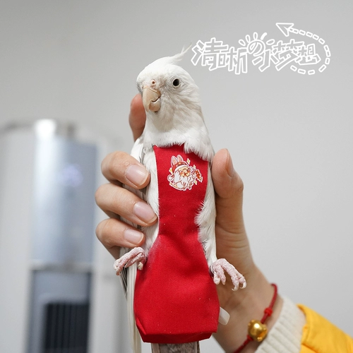 Седьмая генерационная моча не влажная, навоз, навоз, брюки, одежда, логотип службы полетов птиц, заказ